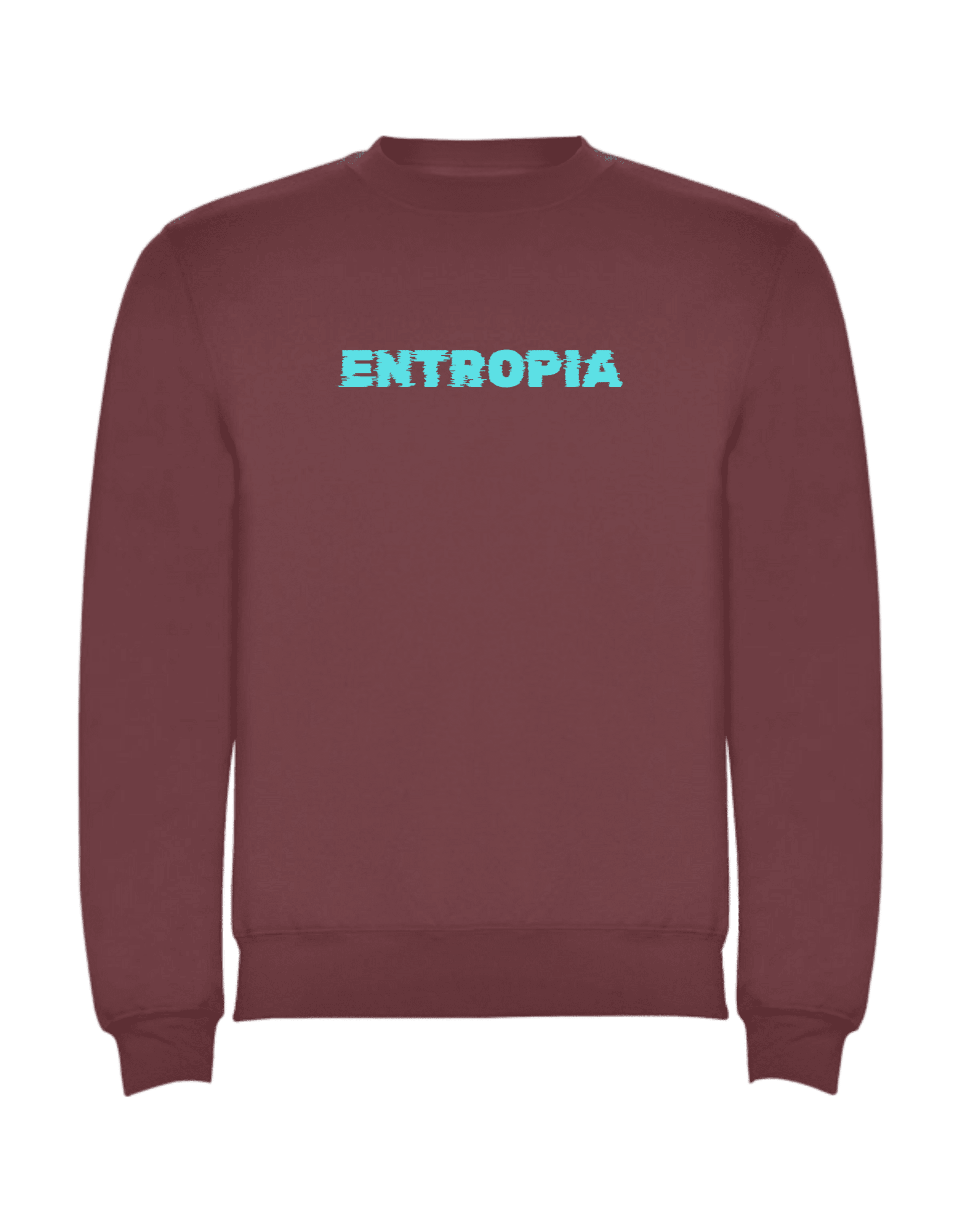 Sudadera Entropia #001 - 22